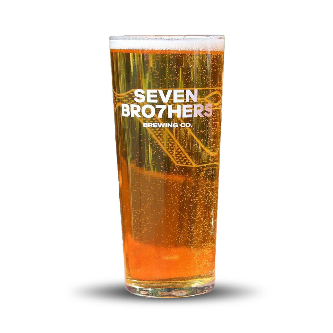 Senator Half Pint Glass Craft Beer Glassware SEVEN BRO7HERS