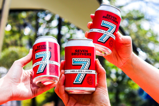 What’s the difference between lager and ale?